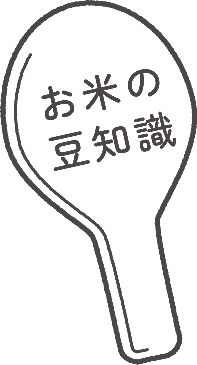 お米の豆知識